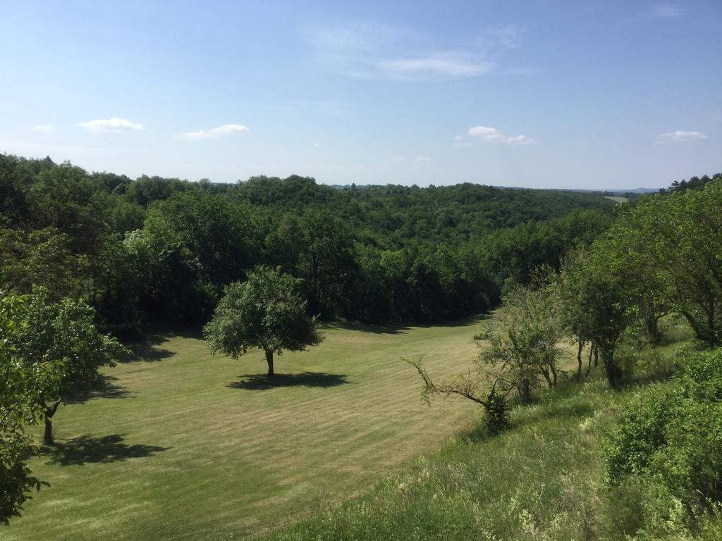Отель Domaine De La Greze Labastide-Murat Экстерьер фото