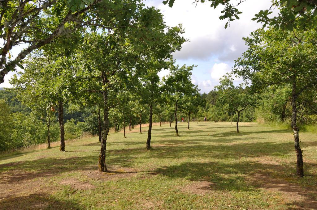 Отель Domaine De La Greze Labastide-Murat Экстерьер фото